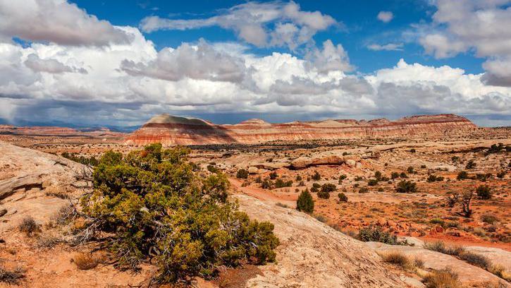 Capital Reef National Park in Utah.