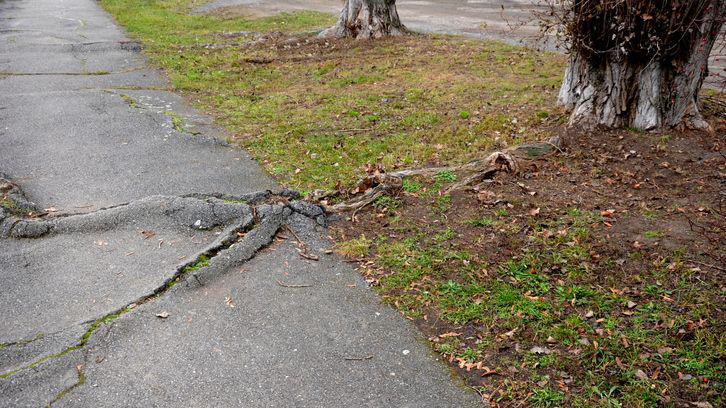 Cracked pathway