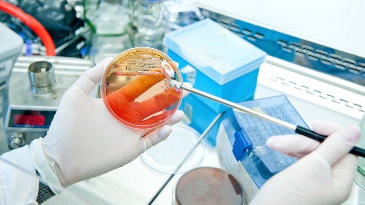 Microbiology - generic