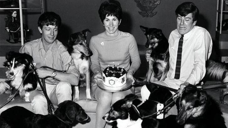 archive image shows john noakes, valerie singleton and peter purves sitting together on the blue peter sofa surrounded by lots of dogs