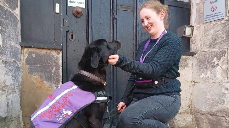 Woman stroking black labrador dog