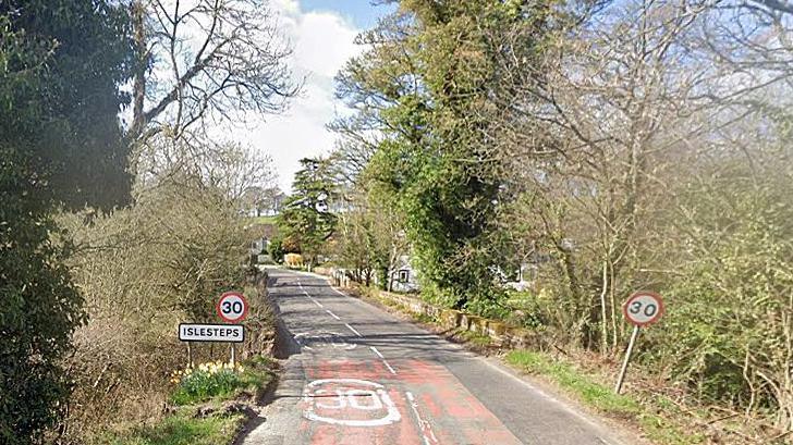 A rural road in Dumfries and Galloway with two 30 miles per hour signs and a tree-lined bridge.