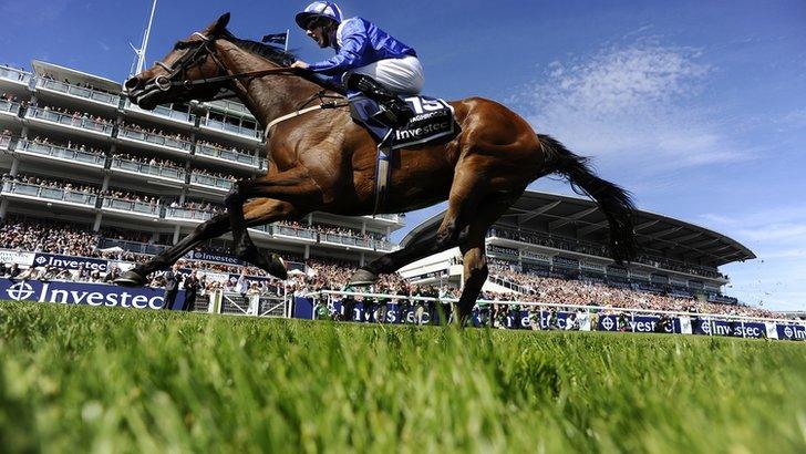 Taghrooda