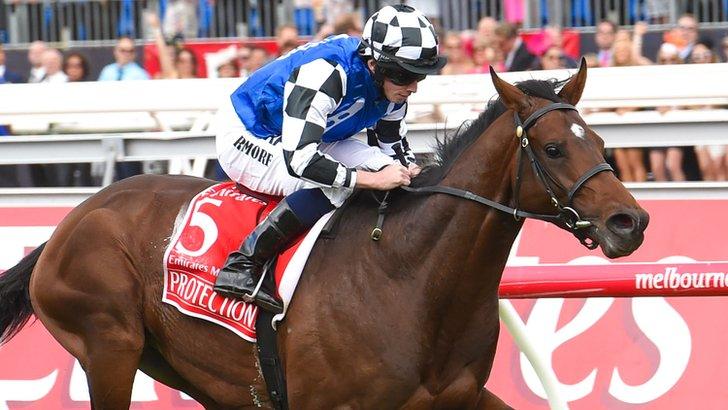 Protectionist wins the Melbourne Cup