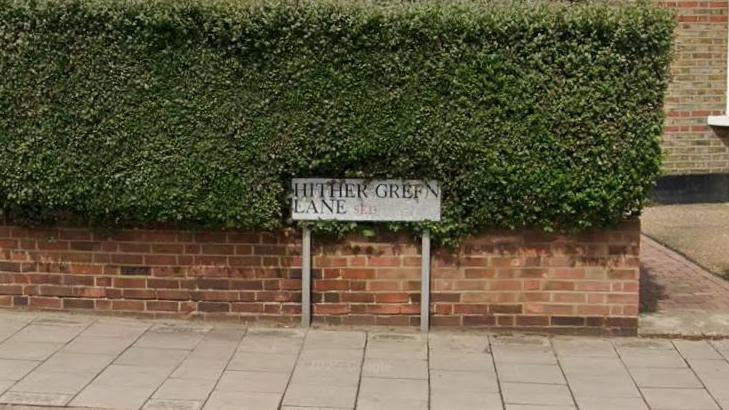 A street sign that reads: Hither Green Lane. The sign is in front of a hedge.
