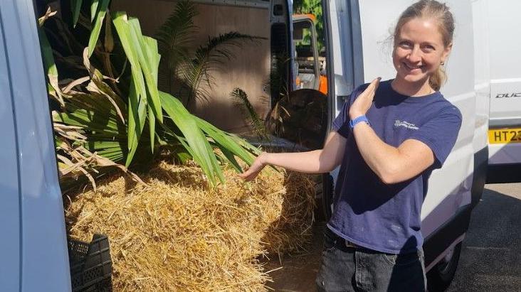 Kathryn Bray poses next to a van. She has fair hair and is wearing a blue T-shirt. Inside the van is a large palm in a pot, balanced on hay bales.