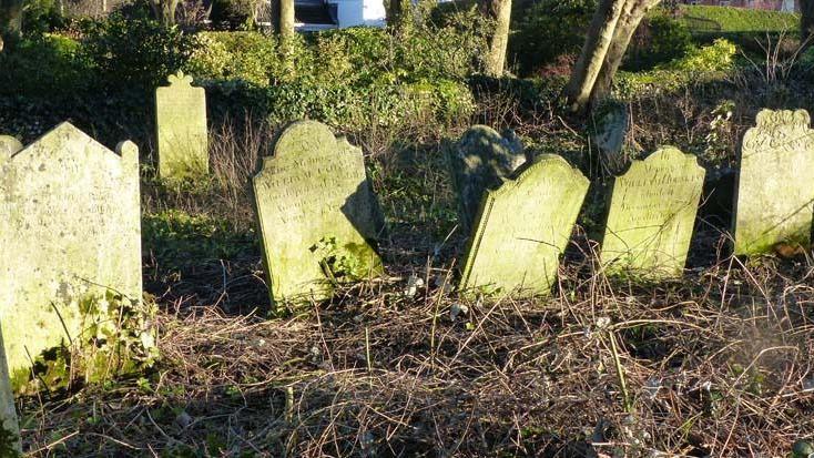 a close up of five worn gravestones embedded in brambles. They are lit by a low afternoon sun. 