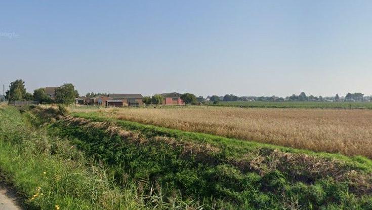 A view of the plot from the road.  There is a field with a crop growing in it at the moment, with some barns in the background.  The weather is sunny.