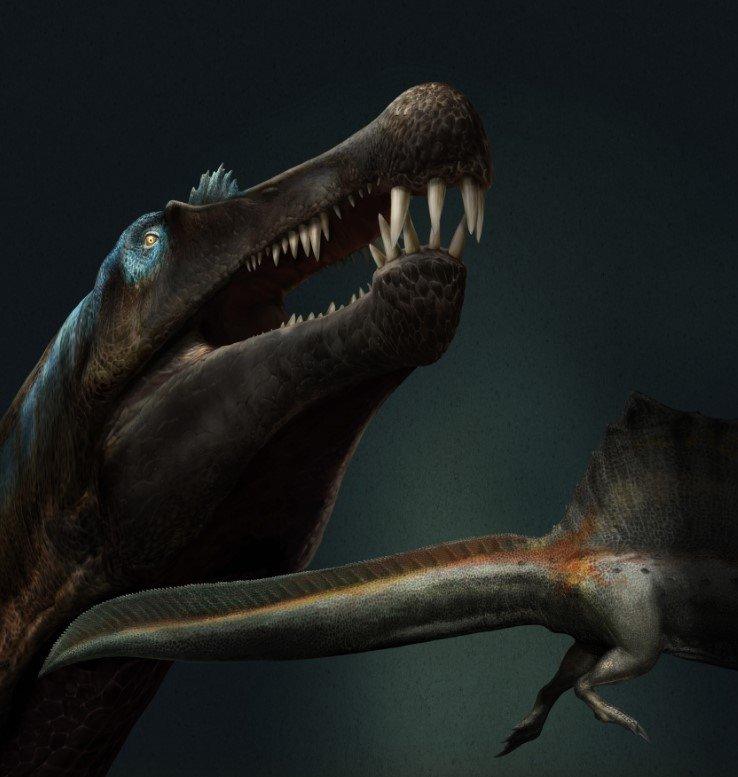 Spinosaurus