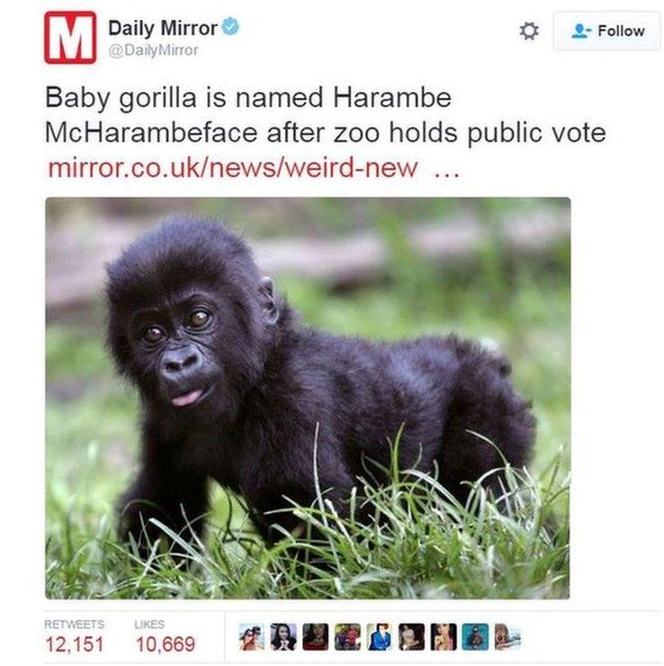 Daily Mirror tweet reporting the Harambe McHarambeface story, has been tweeted more than 12,000 times.