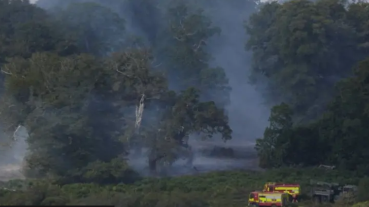 View of a wildfire in a forest, with fire engines in the foreground.
