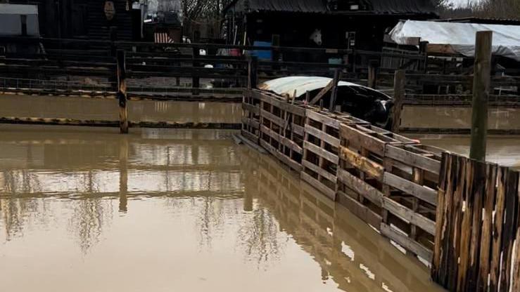 A part of Ms Johnson's smallholding which is completely submerged in water. Fences can be seen as well as some buildings among the water.