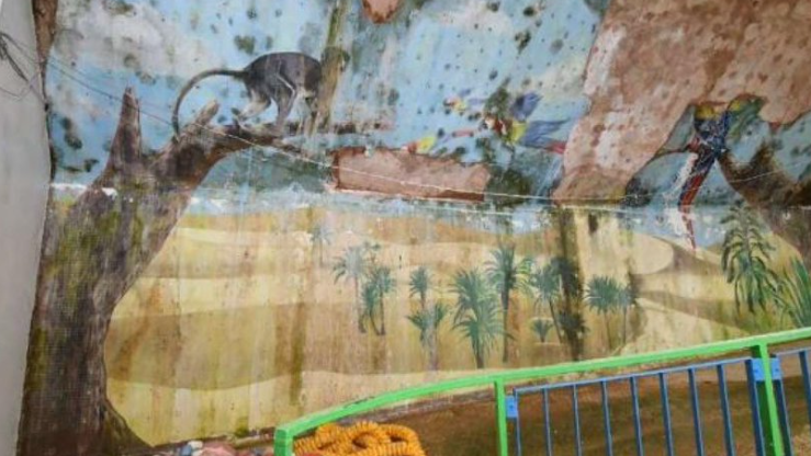 A derelict mural showing a tropical scene taken inside the former leisure centre