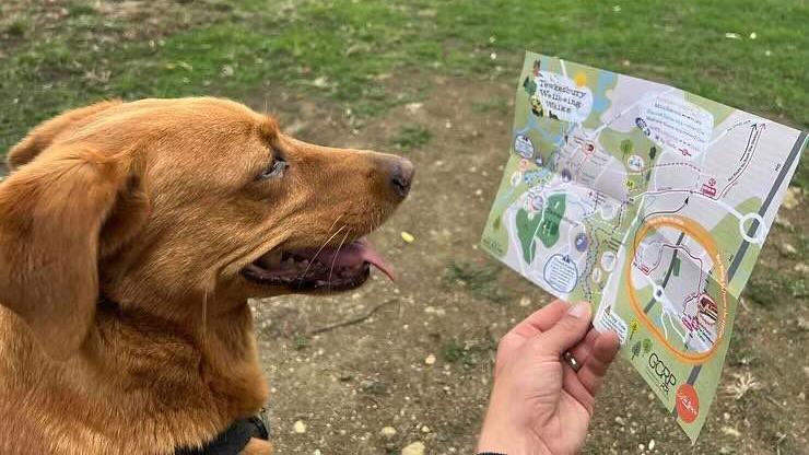 A person holds the front of the Tewkesbury Wellbeing Walks map, showing colourful illustrated trails. A brown dog stands to the left of the frame