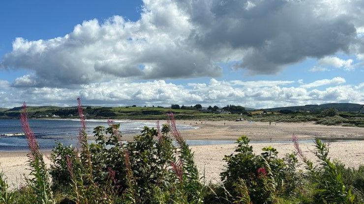 Visible in the foreground, plants lining a beach. In the background, a beach, waves in the distance, and the beach curves round into the distance. Beyond the beach, green fields. A rain cloud is overhead and patches of blue sky are visible.