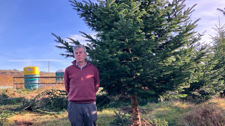 Stephen Reynolds wearing a red sweatshirt and stood beside the Christmas tree which was being grown for Downing Street