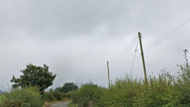 Two power lines hang across wooden poles on the side of a rural road. The sky is grey and there are trees and bushes on each side.