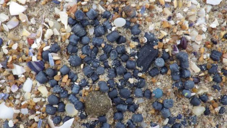 A close-up overhead view of dozens of small black pellets on a beach