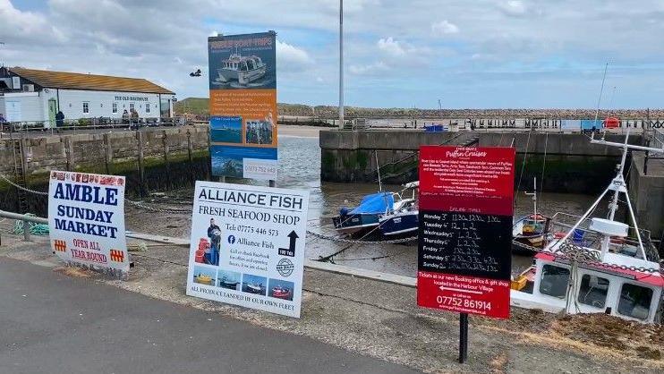 Signs advertising lots of boat trips and a Sunday market are tied to the railings of Amble harbour. The harbour has a number of fishing boats tied up.