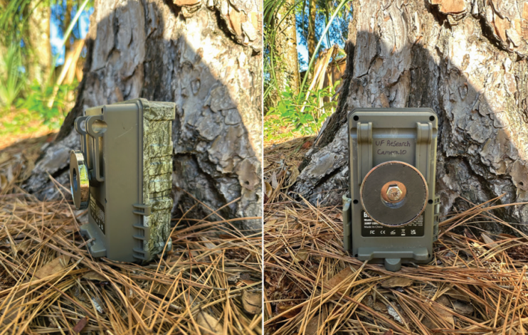 camera traps. 