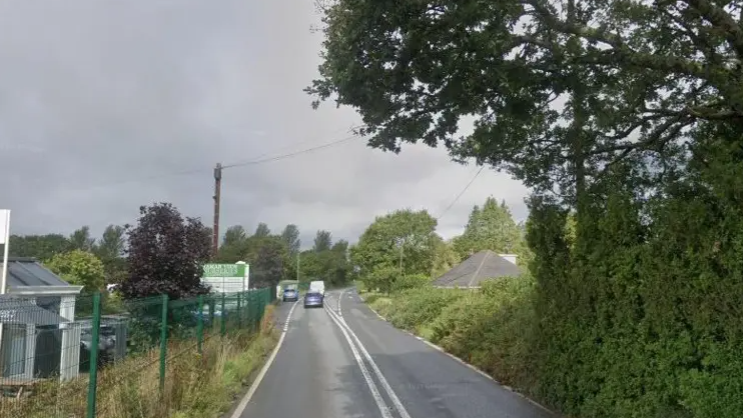 Screenshot of A388 near Tamar View Nurseries, Saltash. The road has large trees on the right and a green fence on the left. The road is a single carriage road.