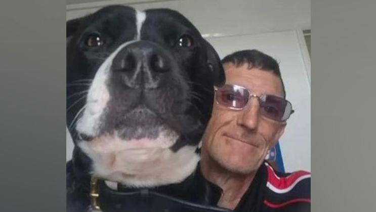 A close-up photo of a black and white dog's head and a man wearing glasses. Both are looking into the camera