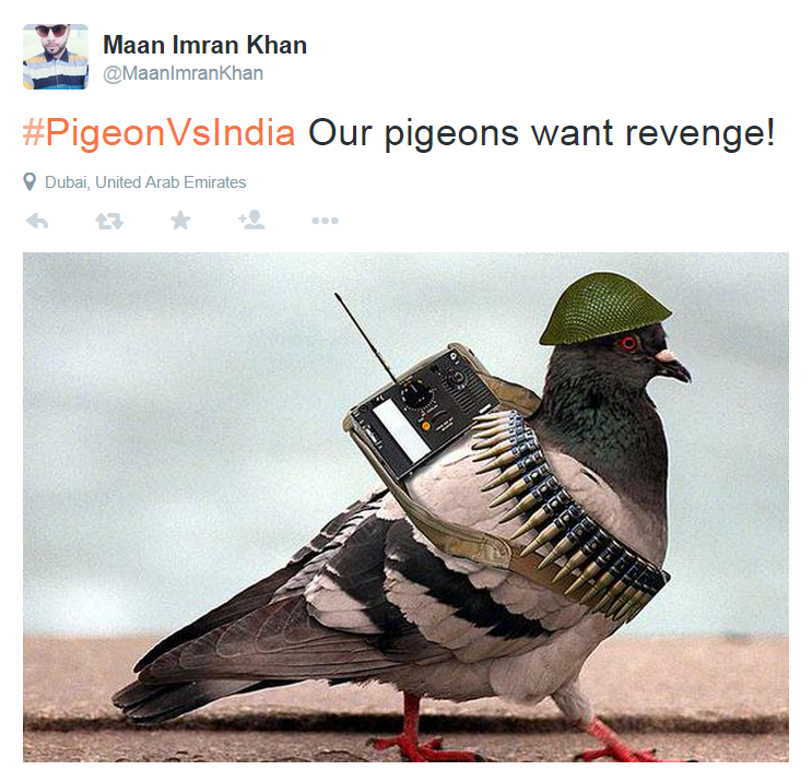 Pigeon meme