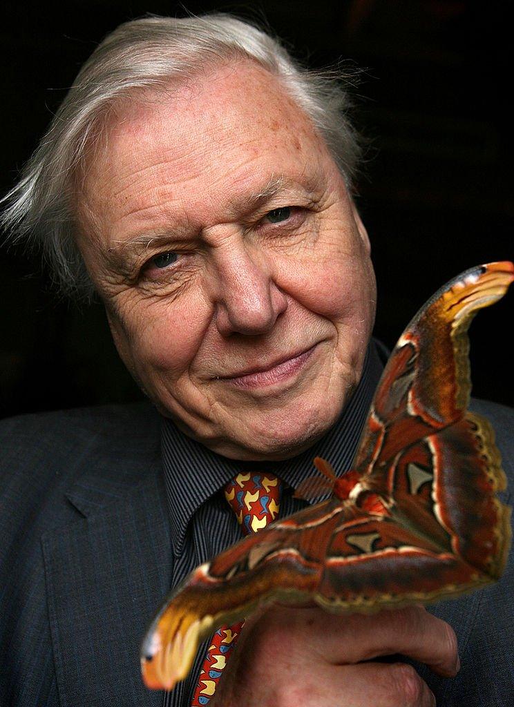 david-attenborough.