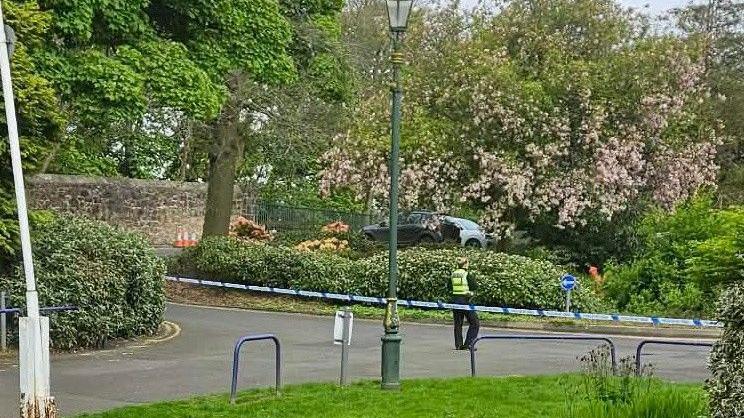 Man arrested over alleged rape at Fife park - BBC News