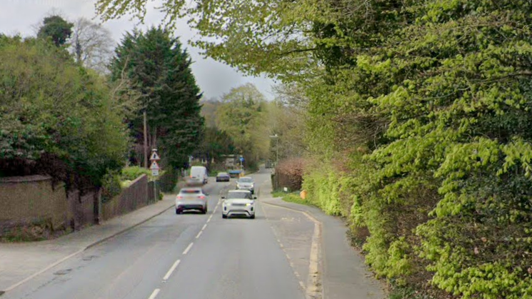 Nutfield High Street. The road has several cars on it with a row of green bushes to the right side of it.