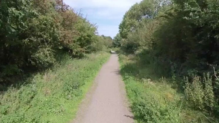 A narrow asphalt pathway with large trees and bushes on either side of it