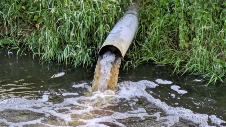 The image shows a large pipe discharging brown, foamy water into a natural body of water—likely a river or stream. This outflow looks polluted, with the murky color and surface foam suggesting chemical or wastewater contamination. The pipe’s opening is embedded in a grassy, green area, possibly near a bank or embankment, surrounded by various plants and foliage.