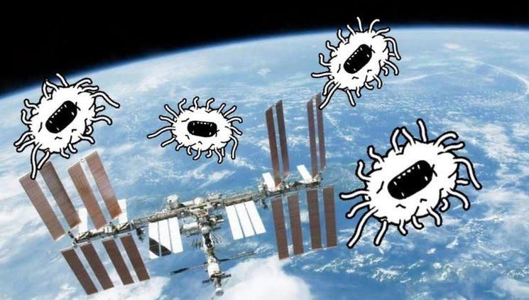 Bugs flying round the ISS.