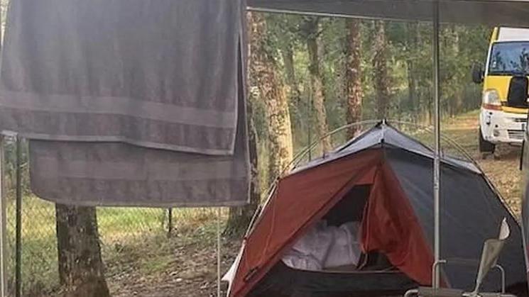 A tent on a stretch of woodland