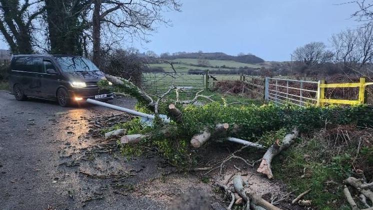 Fallen tree on road in front of car near Penmon on Anglesey