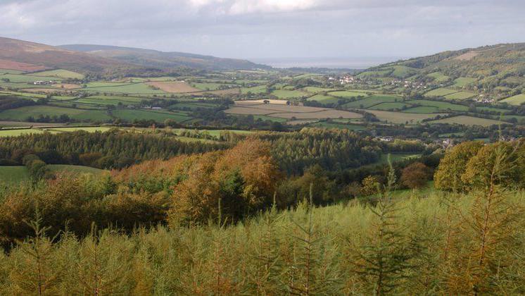 View of hill with autumn leaf colour from the top of the hill. There is a cloudy outlook and you can see the sea in the distance from the view from a higher point of land.