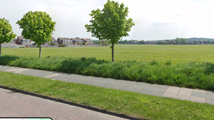 A view of Links View playing fields from the road with two young trees in the foreground and housing in the background. 