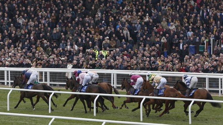 People watching racing at Cheltenham on Wednesday