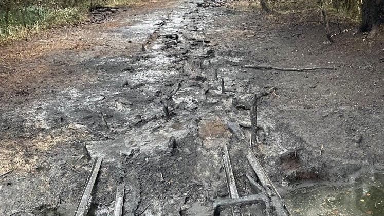 Charred and broken boardwalk in a forested area, with muddy ground containing puddles.