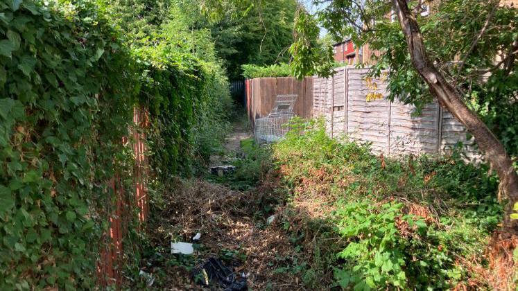 A narrow pathway behind people's homes- with overgrown bushes and an abandoned trolley in the way 
