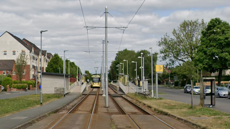 A view of tram tracks in the middle of a tree-lined street.
