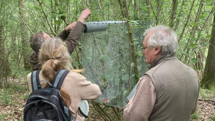 Volunteers preparing mesh cage