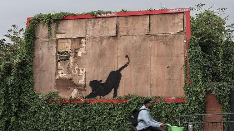 Person cycling past the graffiti artwork of a big cat stretching on a wooden billboard