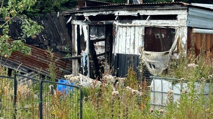 A derelict shed with broken windows and grass growing everywhere 