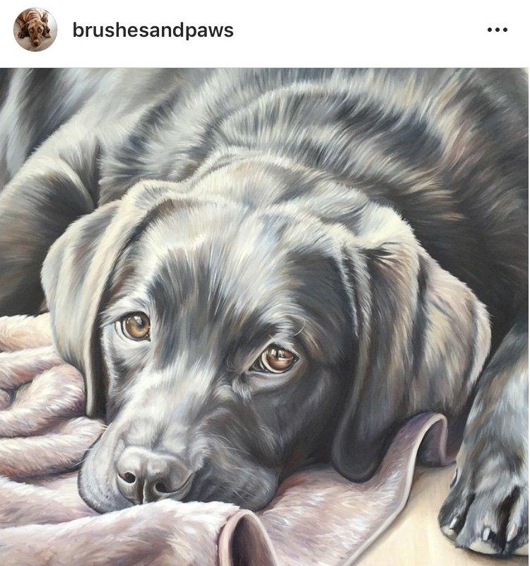 Kim Sears used to have a website dedicated to her work, along with an Instagram account which included an image of this painting of a labrador