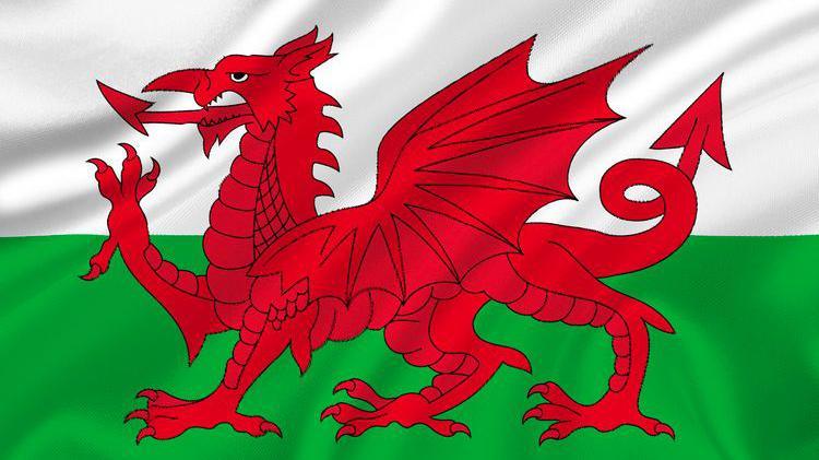 Welsh flag.