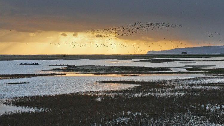 The view from Gooders Hide at Rye Harbour Nature Reserve. Gentle sunrays reach down to the water on the nature reserve, with patches of grasses in the water as flocks of birds fly overhead