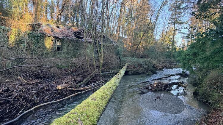 Adfeilion Melin Wlân Leri