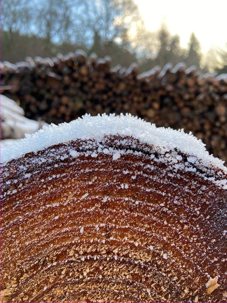 Frost on cut timber