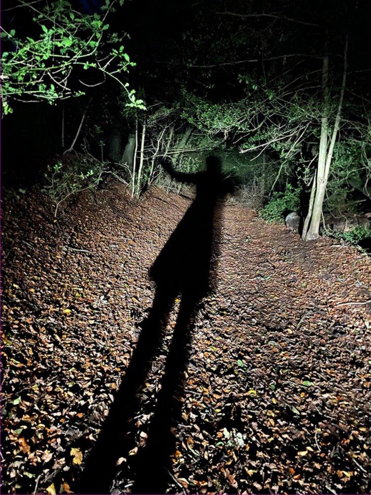 Shadow of a figure in woodland